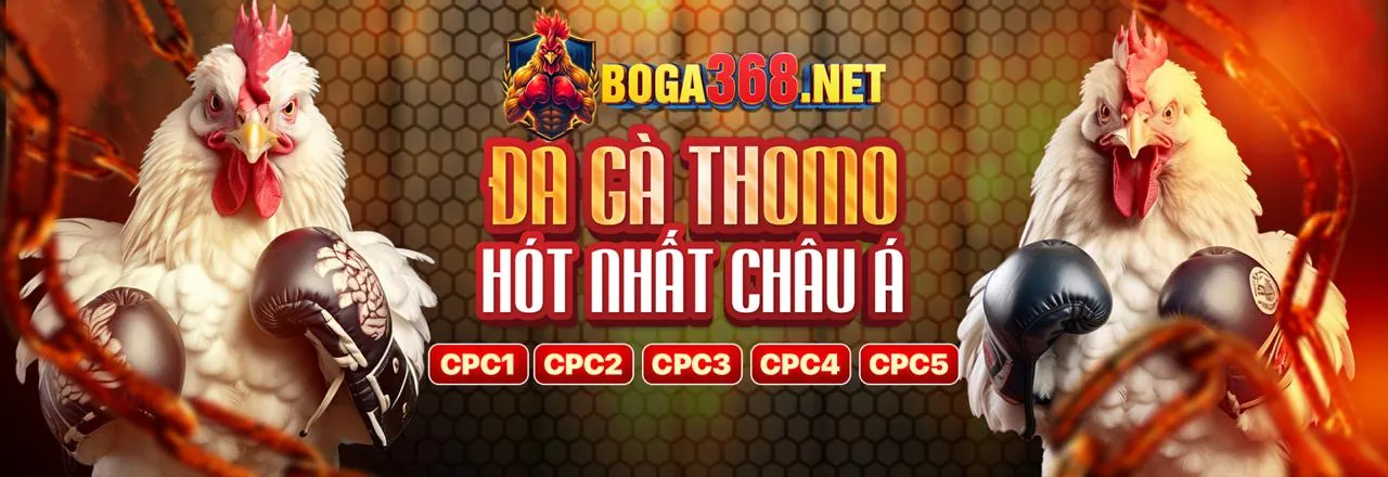 Đá gà trực tuyến 181bet với không khí sôi động